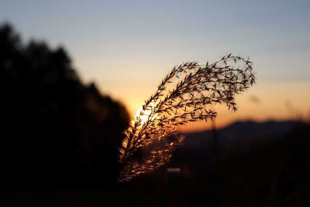 残秋　齋藤欣子