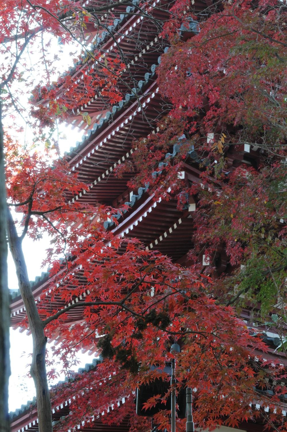 浪江 立夫「秋深まる」