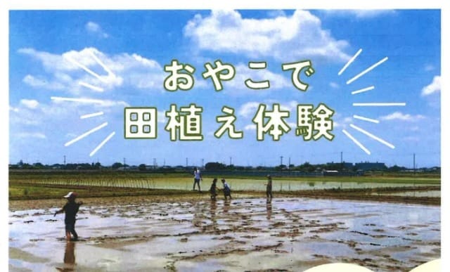 おやこで田植え体験（特定非営利活動法人オリーブアゴラ）