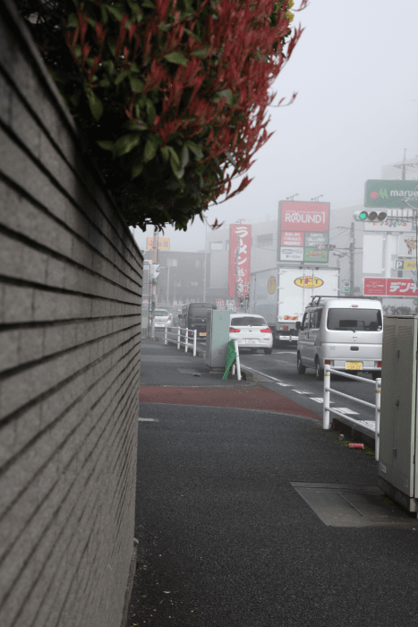 高橋泰江「霧の朝2」