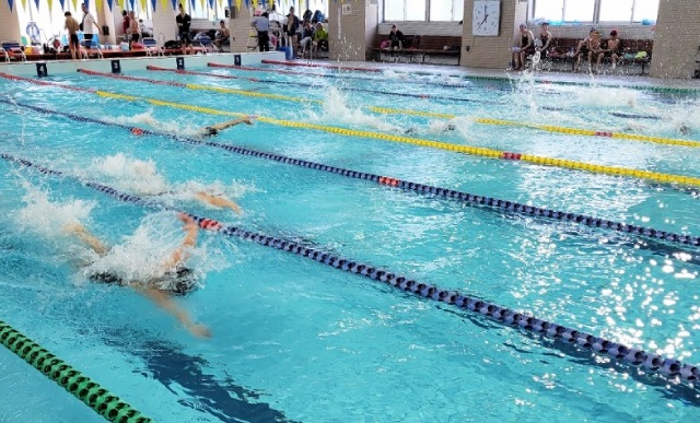 戸田市市民水泳大会（埼玉県戸田市）