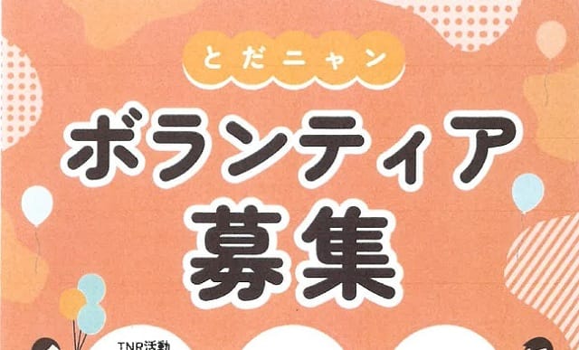 ボランティア募集（とだニャン）